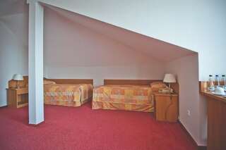 Отель Hotel Akwawit Лешно Двухместный номер эконом-класса с 2 отдельными кроватями-1